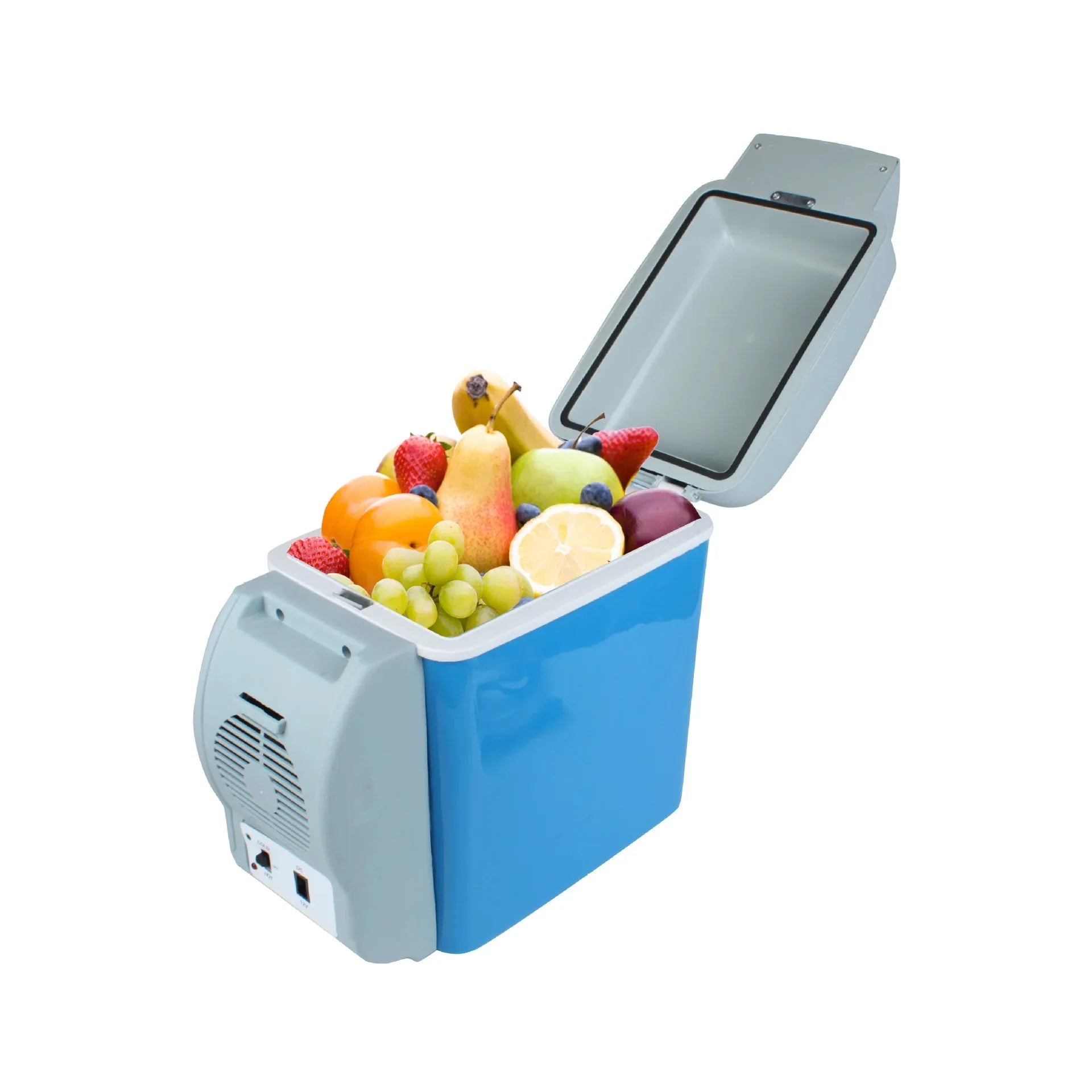 Portable Electric Cooler & Warmer for Car and Home-1